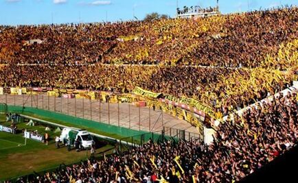 Planta de Marihuana crece en el estadio del Peñarol