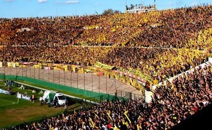 Planta de Marihuana crece en el estadio del Peñarol