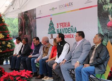 Destacan liderazgo de Edomex en producción de árboles de Navidad