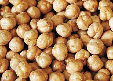 Mexican students create healthy instant soup