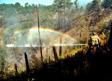 Controlan 70% de incendio forestal en Cuernavaca