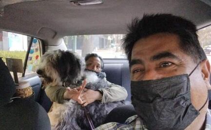 Taxista de perros de la CDMX se vuelve viral 