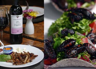 Llega la temporada de bichos