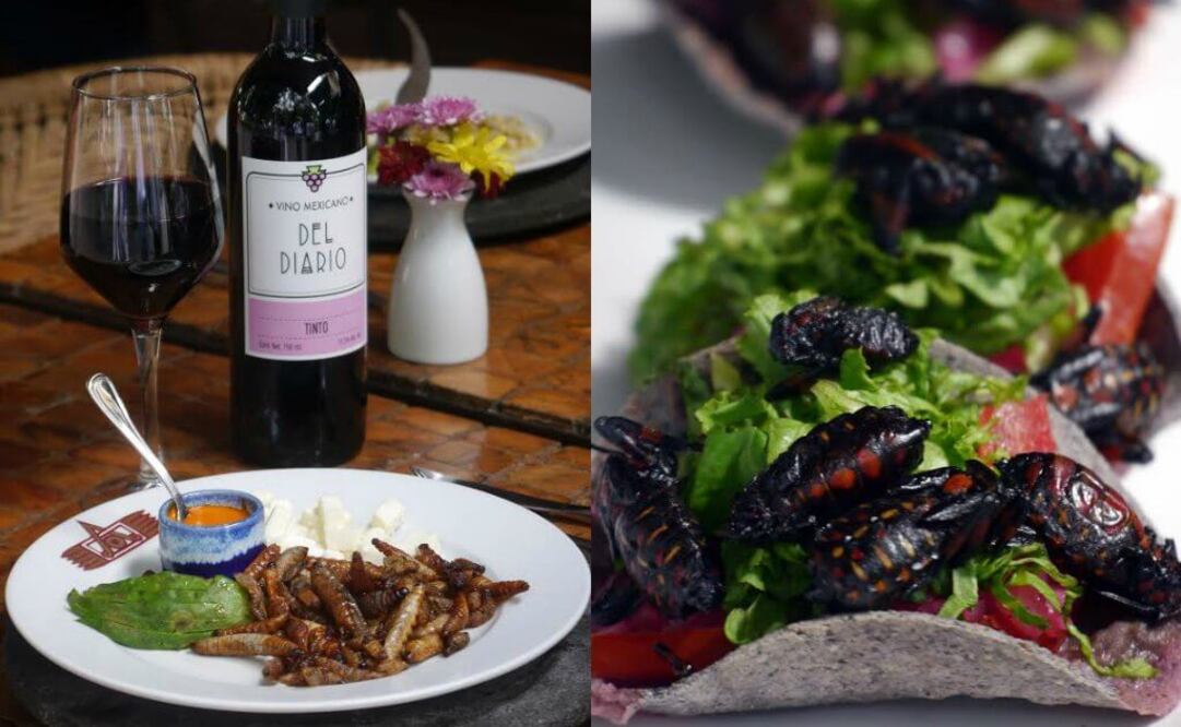 Llega la temporada de bichos