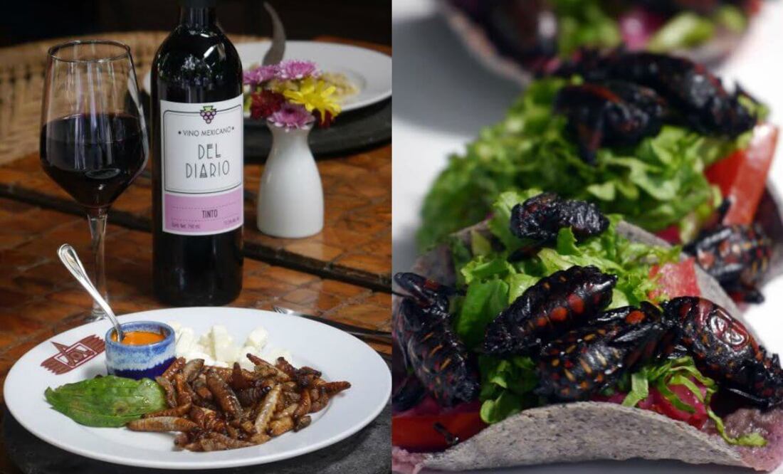 Llega la temporada de bichos