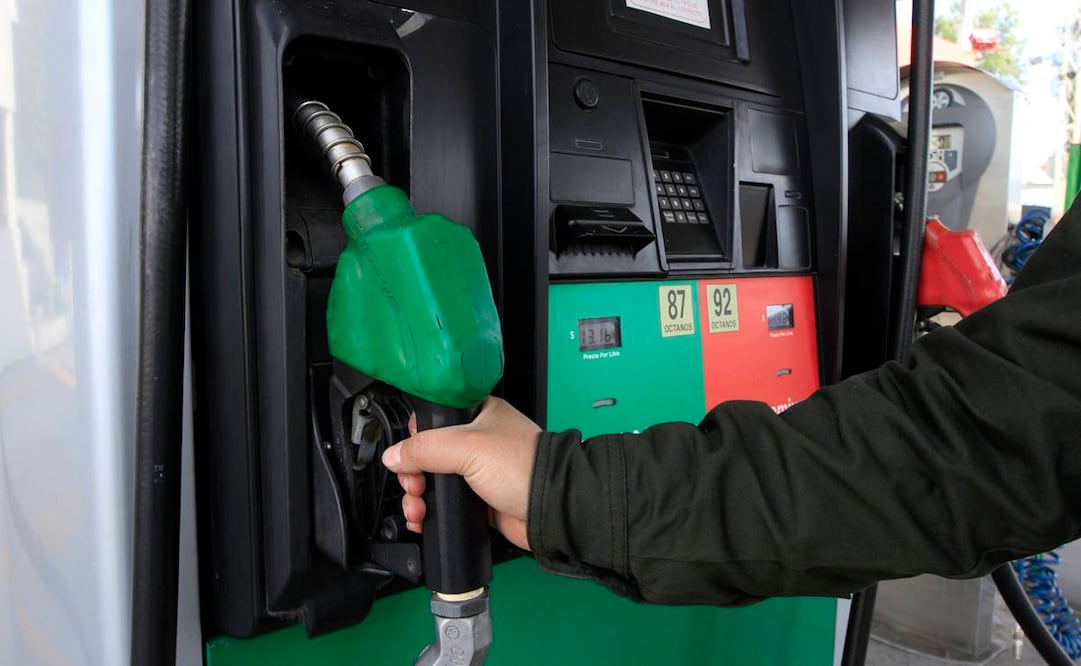 Foto: ARCHIVO EL UNIVERSAL