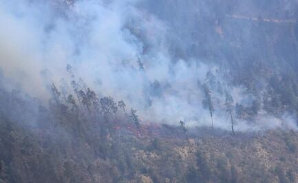 Brigadistas combaten 4 incendios forestales en Puebla; esperan arribo de helicópteros para sofocar las llamas