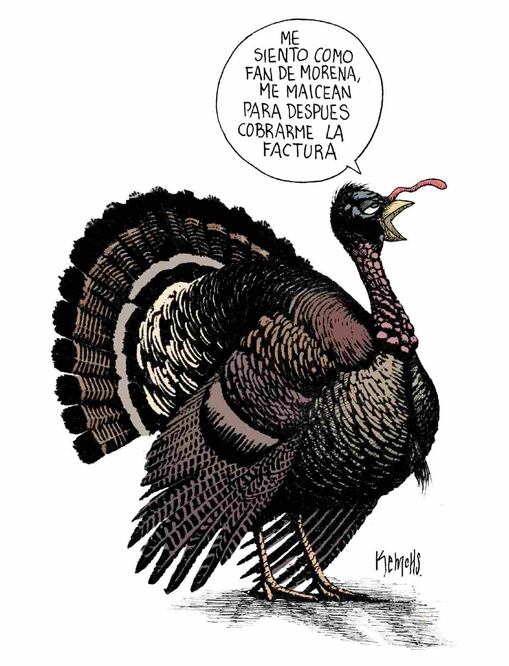 Cartón de KEMCHS