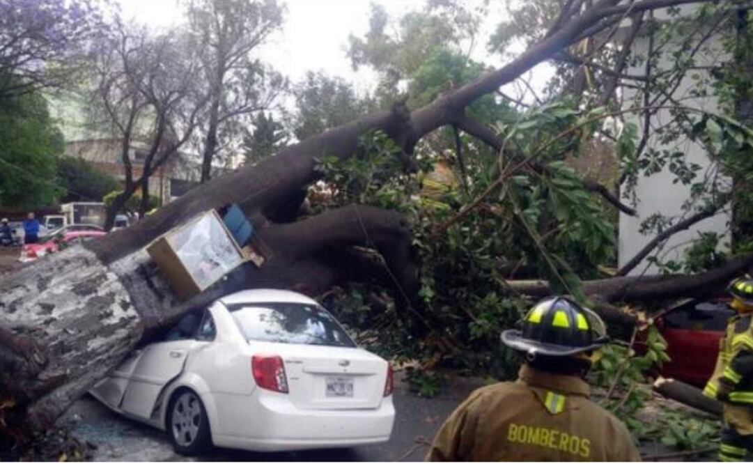 Tomada de @Raul_Esquivel_C