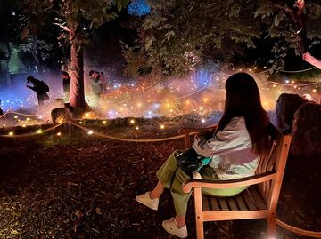 Light Cycles: así es la experiencia inmersiva en Chapultepec