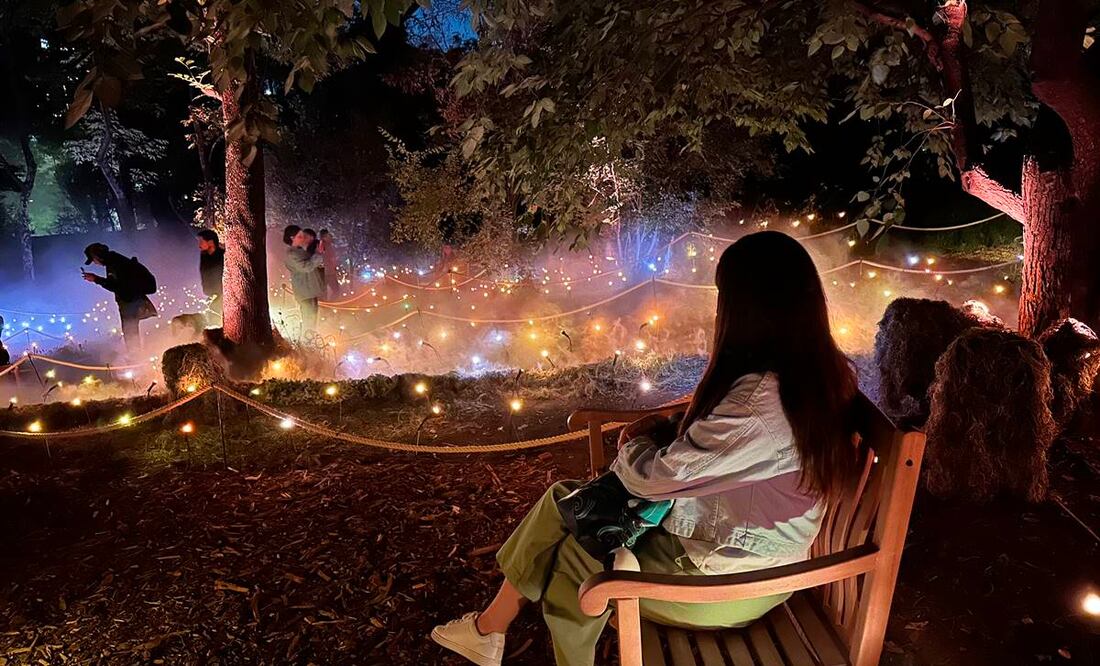 Foto: Omar Moreno. El Universal