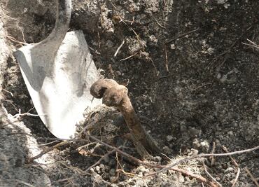 Labora PGR en búsqueda de fosas en Carrizalillo
