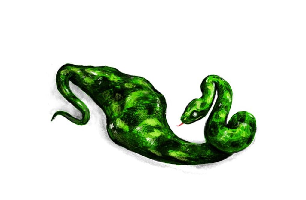 ¿Quién está detrás de la BOA?