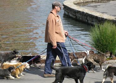 Conviértete en voluntario y regala un paseo a un perrito en Toluca