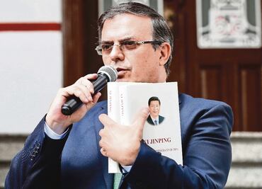 An olive branch for diplomats