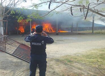 Violencia deja sin clases a comunidades de Chilpancingo