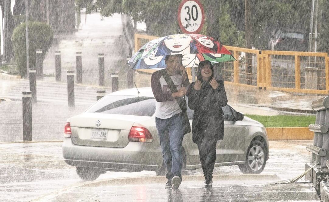 (Fotografía: Archivo )