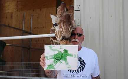 Ozzie, la jirafa que pinta entre leones