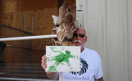 Ozzie, la jirafa que pinta entre leones