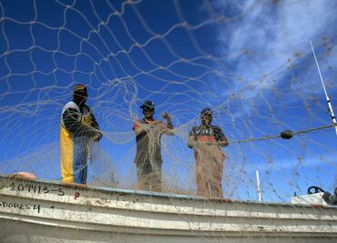 Mantendrán polígono de prohibición de pesca en el Alto Golfo de California