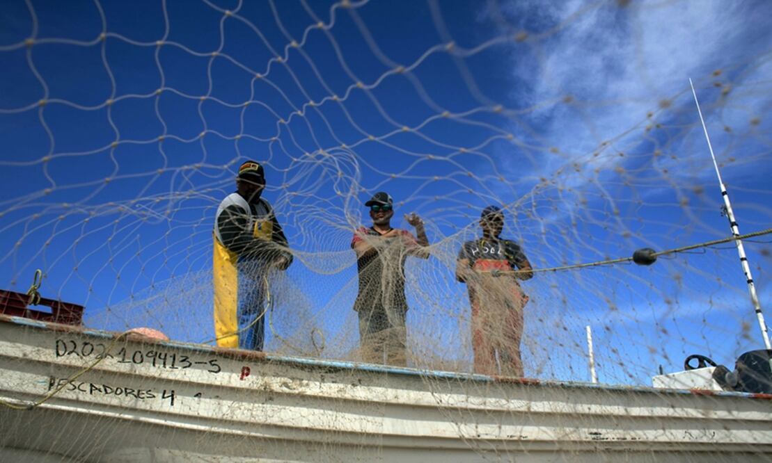 Foto: Archivo/EL UNIVERSAL