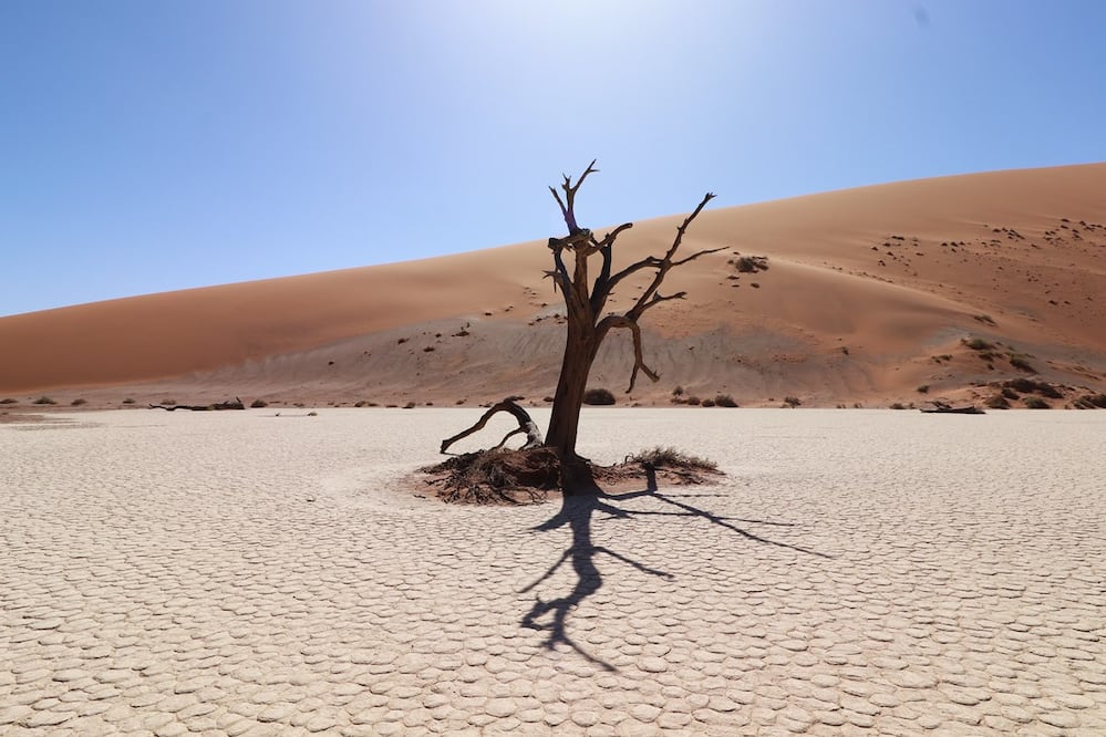 Parque Nacional Namib-Naukluft, en Namibia. Foto: Pablo Arturo López Guijosa.
