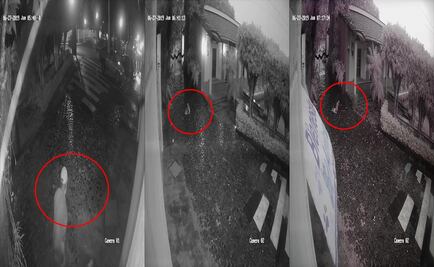 Captan momento en que abandonan a perrita gravemente enferma en Centro Animal