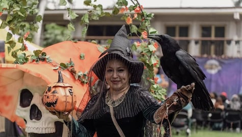 Habrá festival de Harry Potter en Teotihuacán: ¿cuándo es?