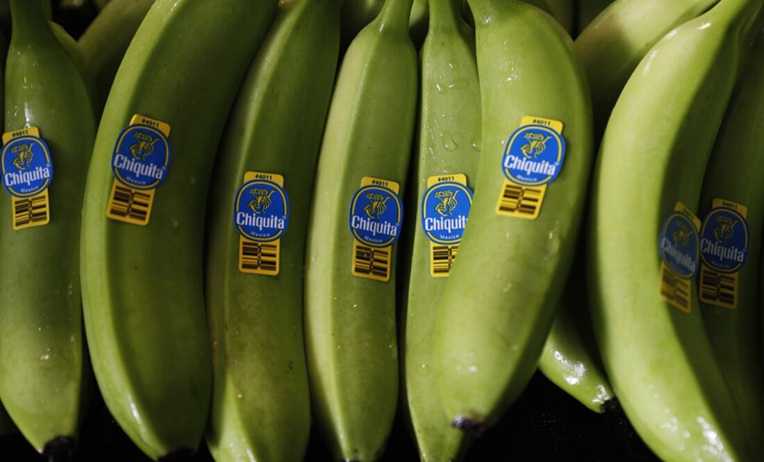 En marzo de este año iniciaron protestas contra una nueva ley de pensiones por parte de los sindicatos de la construcción y la educación a las que luego se unieron los trabajadores bananeros, que declararon una huelga considerada ilegal por un juzgado. Foto: Marco Ugarte/AP