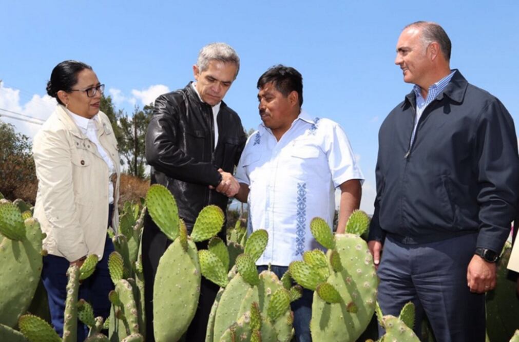 (Foto: @ManceraMiguelMX)