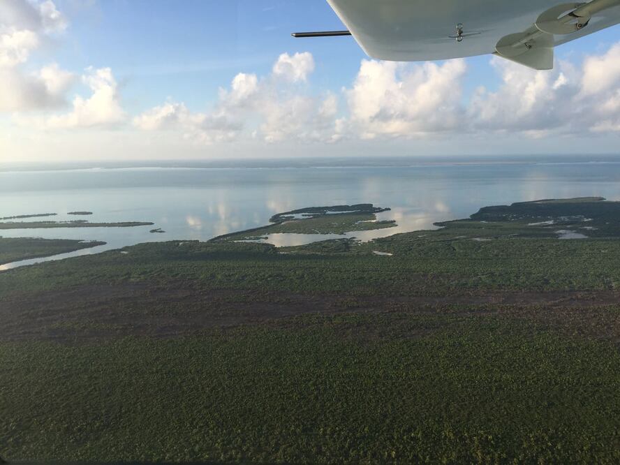 FOTO: Cortesía Conafor