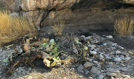 INAH denuncia saqueo en sitio arqueológico de Coahuila