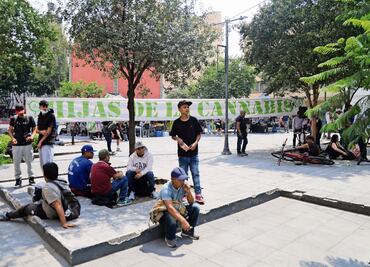 Definirán la próxima semana ubicación de punto cannábico en el parque La Concepción