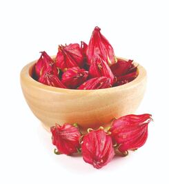 La jamaica podría ayudar a reducir el colesterol