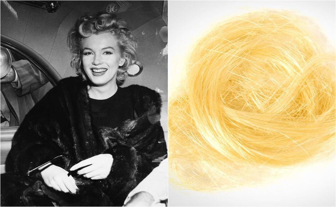 El pelo proviene del patrimonio de Frieda Hull, quien obtuvo los mechones de la peluquera de la actriz. Foto:AP