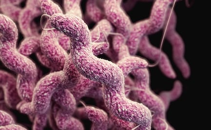 Suman 6 muertos tras brote de bacteria "come carne" en Luisiana; es la cifra más alta de afectados en una década