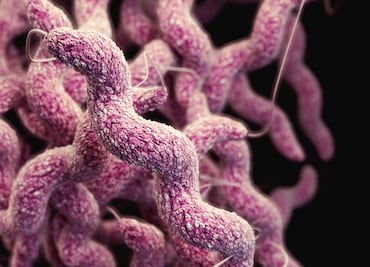 Suman 6 muertos tras brote de bacteria "come carne" en Luisiana; es la cifra más alta de afectados en una década