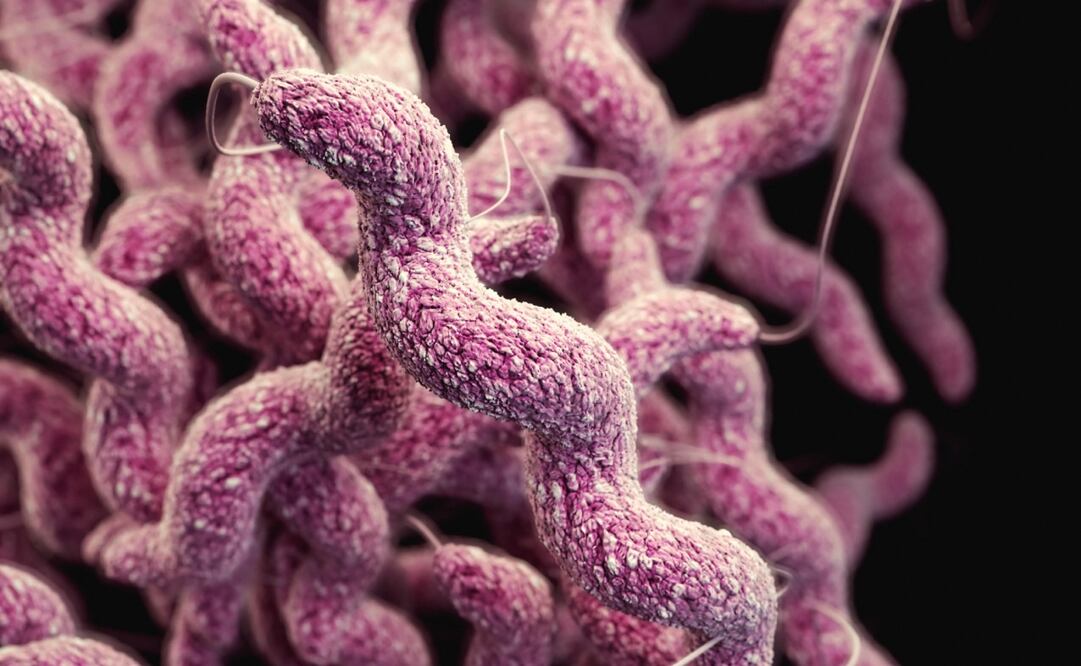 Imagen ilustrativa. Foto: Unsplash