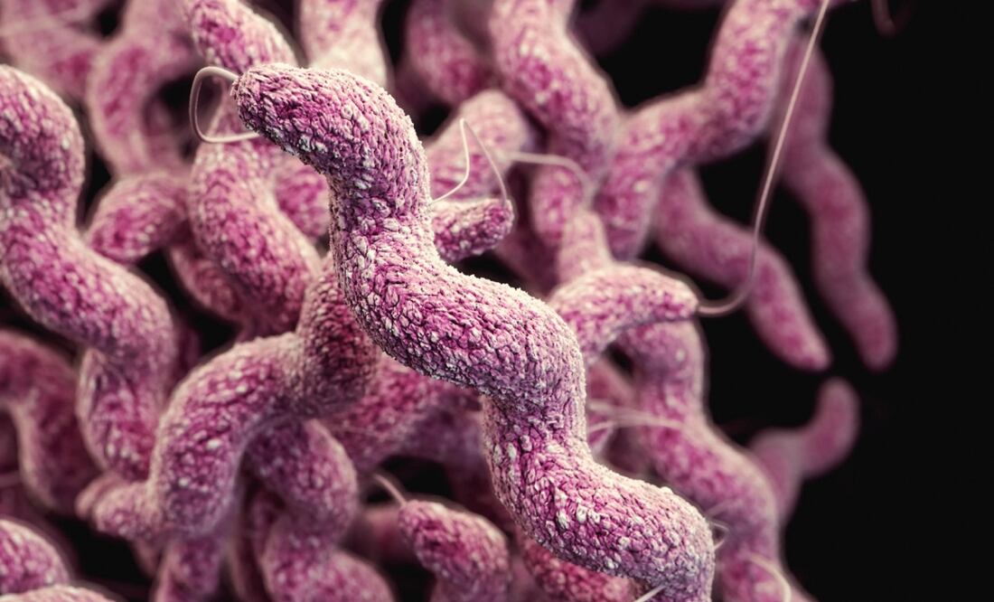 Imagen ilustrativa. Foto: Unsplash