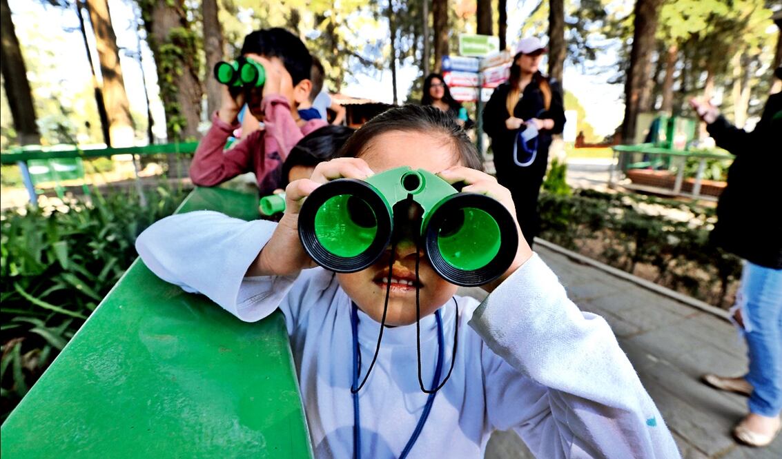 Las vacaciones iniciarán a partir del 19 de diciembre próximo. Foto: archivo/EL UNIVERSAL