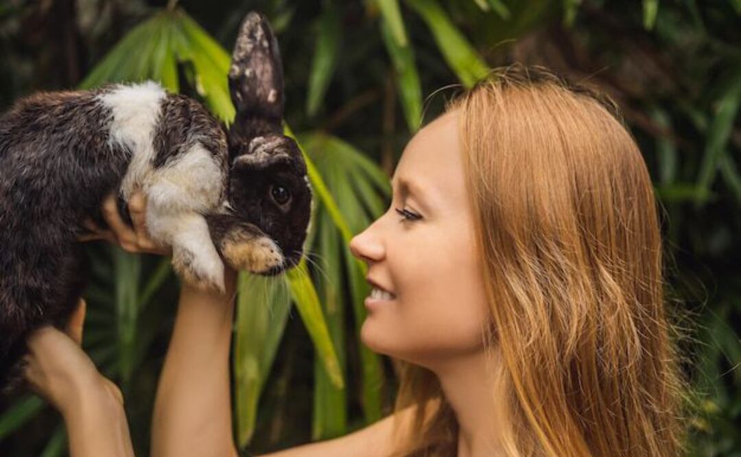 El avance en la comunicación interespecie también tiene implicaciones en la conservación y el bienestar animal. Fuente: Freepik.