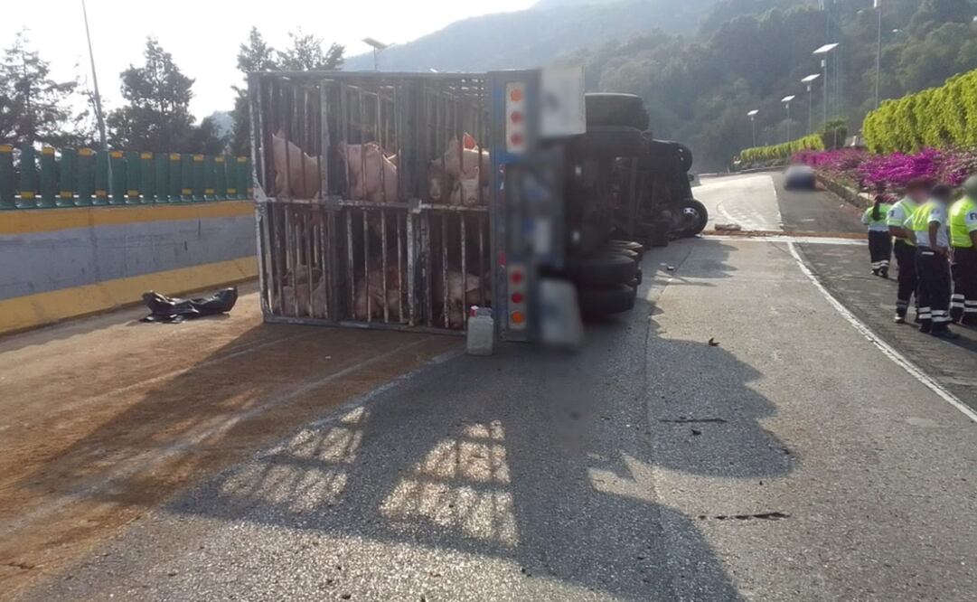 Foto: Twitter @GN_Carreteras