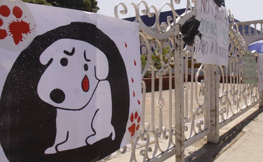 Foto: Archivo Quadratín