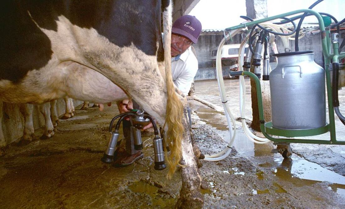 Foto: Archivo/ EL UNIVERSAL