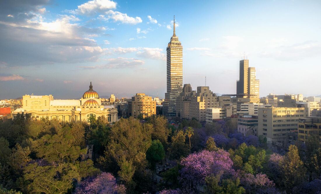Terrazas para ver jacarandas en CDMX. Foto: Pexels