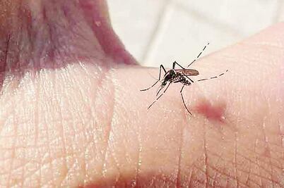 Crece 30% el dengue en el país