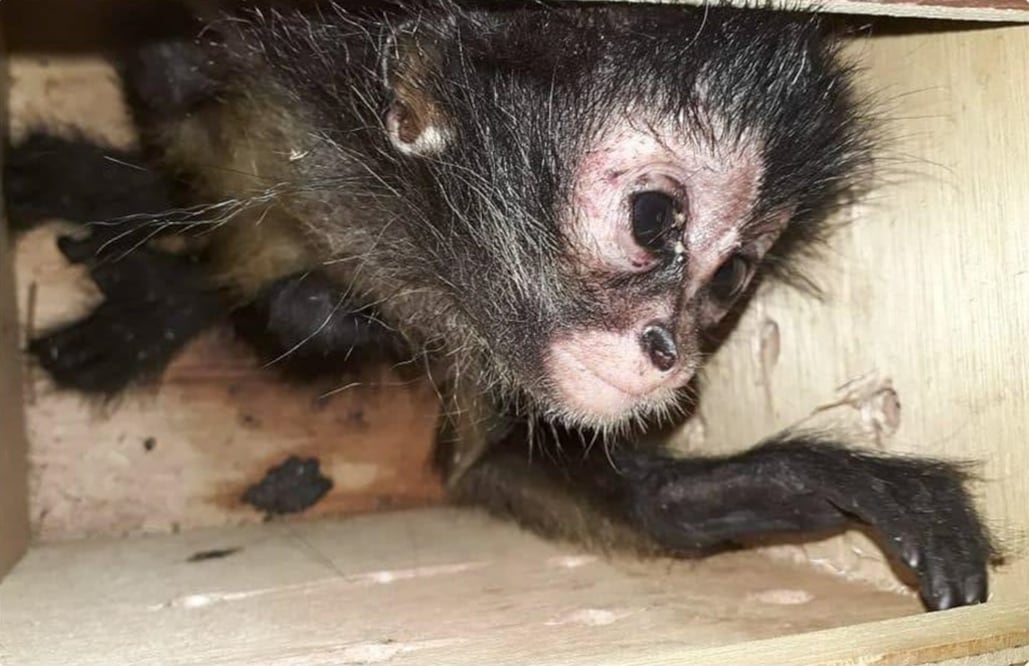 Foto: archivo/ EL UNIVERSAL