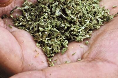 Ratifica SCJN penas por poseer drogas