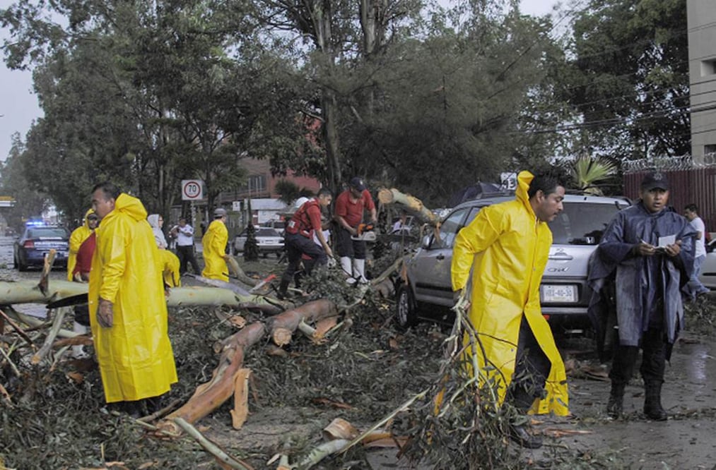 El pasado lunes en Guerrero, las precipitaciones derribaron árboles sobre la Autopista del Sol (CUARTOSCURO.COM)