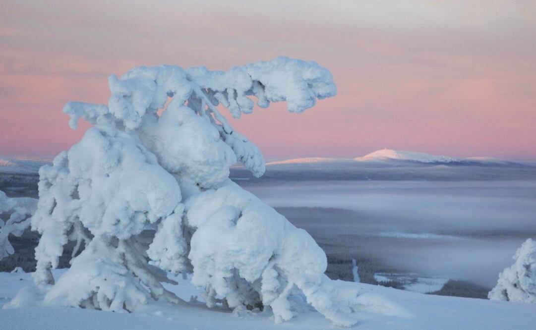 Al norte, donde el viento es helado, los paisajes sosn blancos gran parte del año. (Foto: Cortesía Visit Finland)